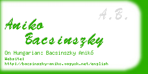 aniko bacsinszky business card